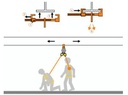 Image de l'article
